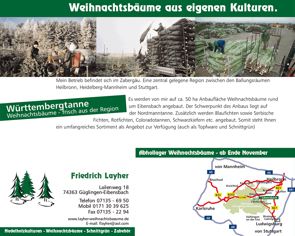 Die Württembergtanne